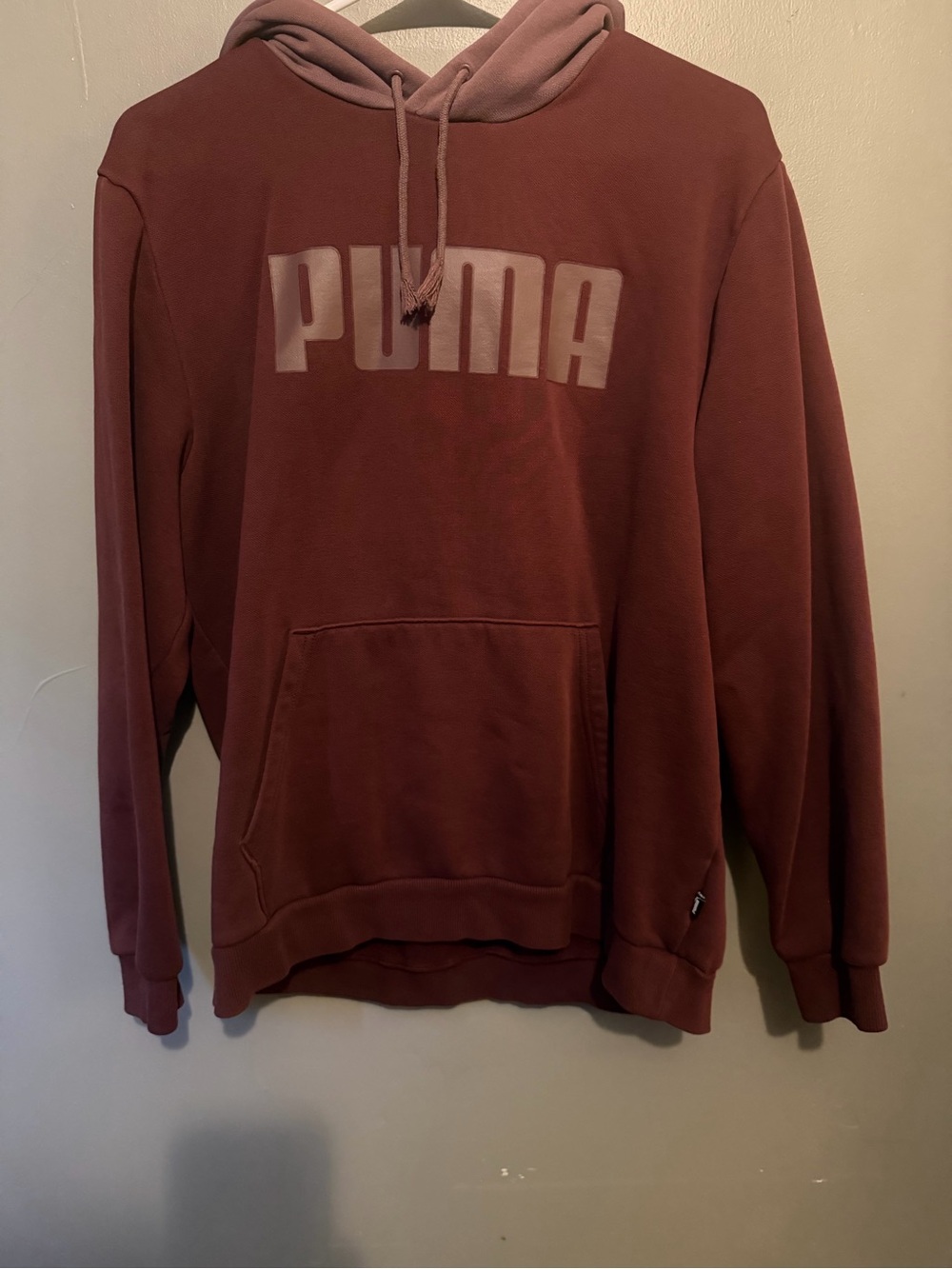 Puma Men's Pullover Hoodie in Mauve Rose